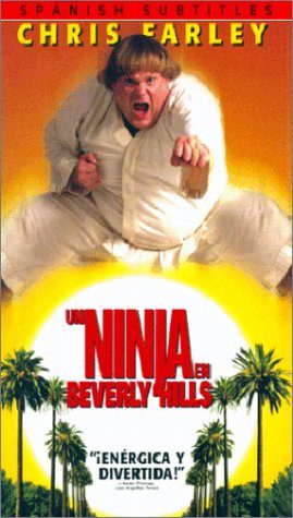Beverly Hills Ninja still 4