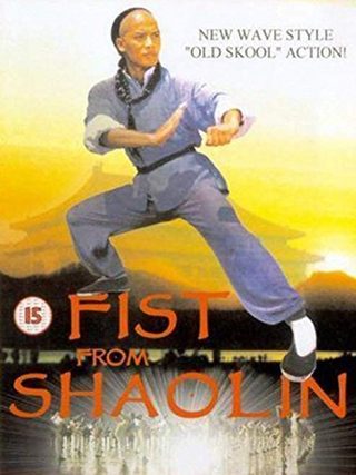 Fist from Shaolin still 1