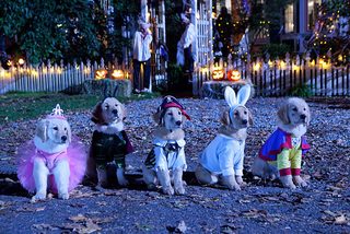 Spooky Buddies still 2