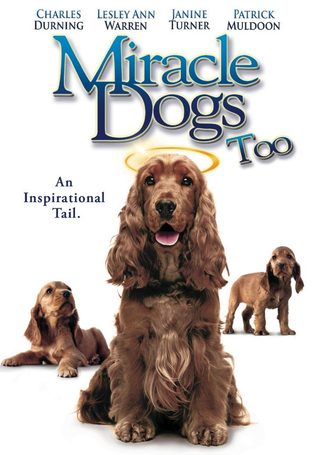 Miracle Dogs Too still 6