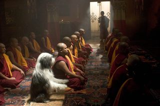 The Shaggy Dog still 2
