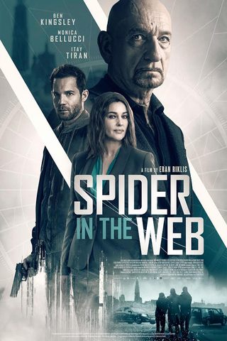 Spider in the Web still 1