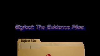 Bigfoot: The Evidence Files still 2