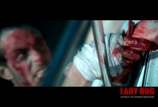 Lady Bug still 5