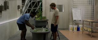 Biosphere still 2