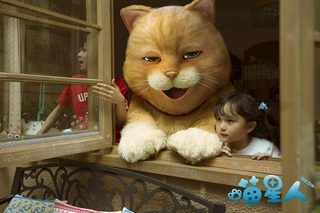 Meow still 1