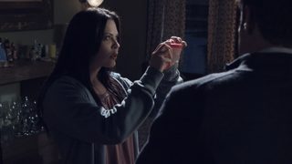 Spiders still 8