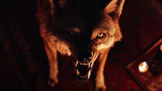 Coyotes still 1