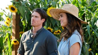Love Stories in Sunflower Valley still 4