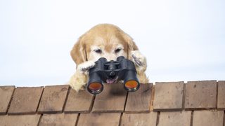 Cats & Dogs 3: Paws Unite still 8