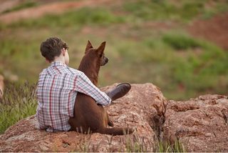 Red Dog: True Blue still 7