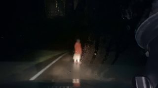 Dashcam still 3