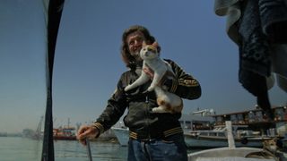 Kedi still 4