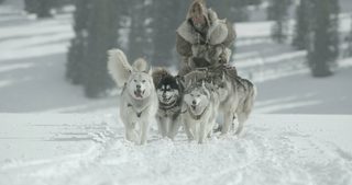 The Great Alaskan Race still 2