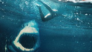 Great White still 6