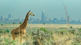 Breaking Boundaries: The Science of Our Planet still 3