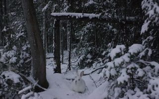 Edge of Winter still 6