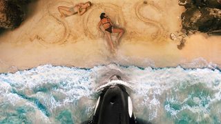 Killer Whale still 2