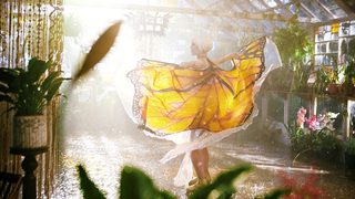 The Butterfly Tree still 4