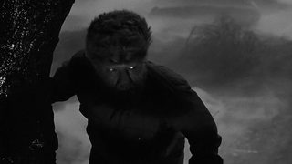 The Wolf Man still 6