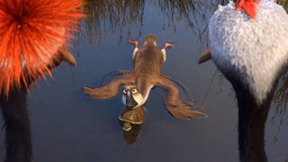 Duck Duck Goose still 2