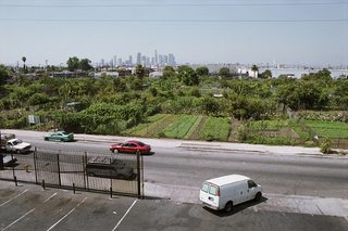 The Garden still 7