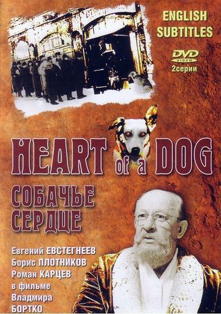Heart of a Dog still 4