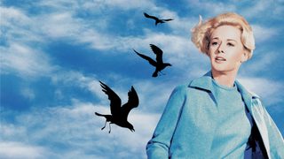 The Birds still 4