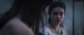 Glasshouse still 5