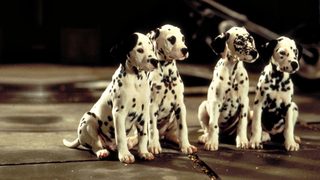 101 Dalmatians still 6