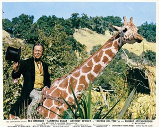 Doctor Dolittle still 7