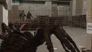 Spiders still 7
