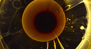 Voyage of Time: The IMAX Experience still 6