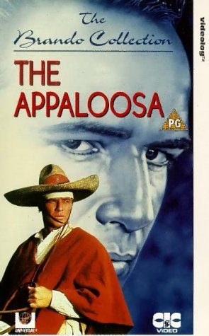 The Appaloosa still 3