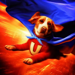 Underdog still 8