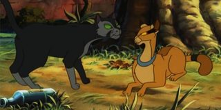 Felidae still 6