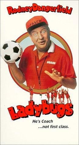Ladybugs still 4