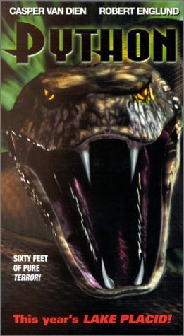 Python still 5