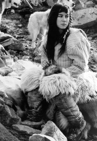 Shadow of the Wolf still 4