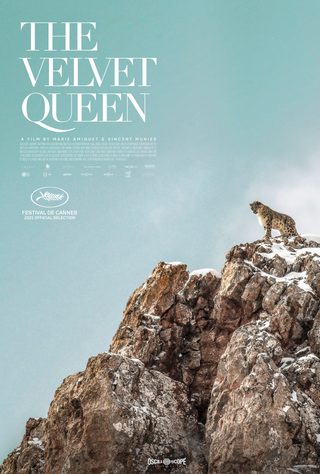 The Velvet Queen still 3