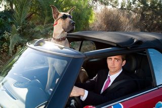 Marmaduke still 5