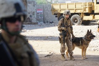 Megan Leavey still 3