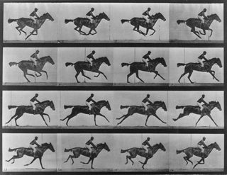 Sallie Gardner at a Gallop still 2
