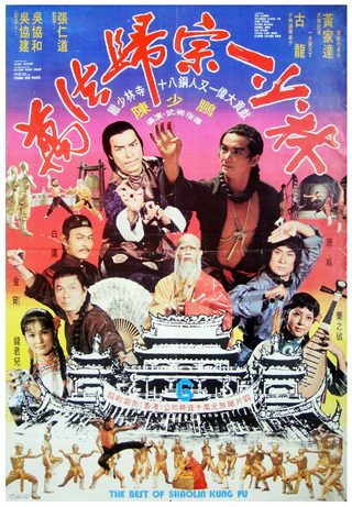 The Best of Shaolin Kung Fu still 4
