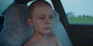 Fauve still 8