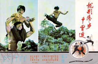 Snake Shadow, Lama Fist still 4