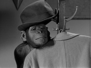 Tarzan's New York Adventure still 4
