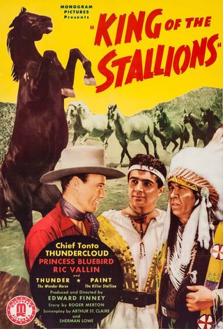 King of the Stallions still 6