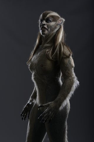 Wolves still 2