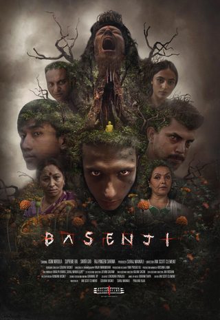 Basenji still 4